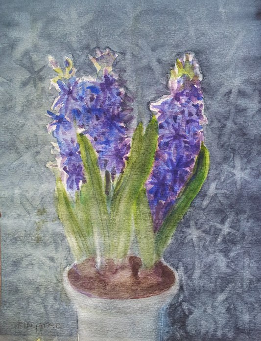 Blue Hyacinths