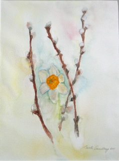 Videung