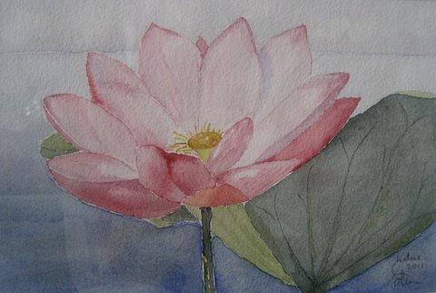 Lotusblomma