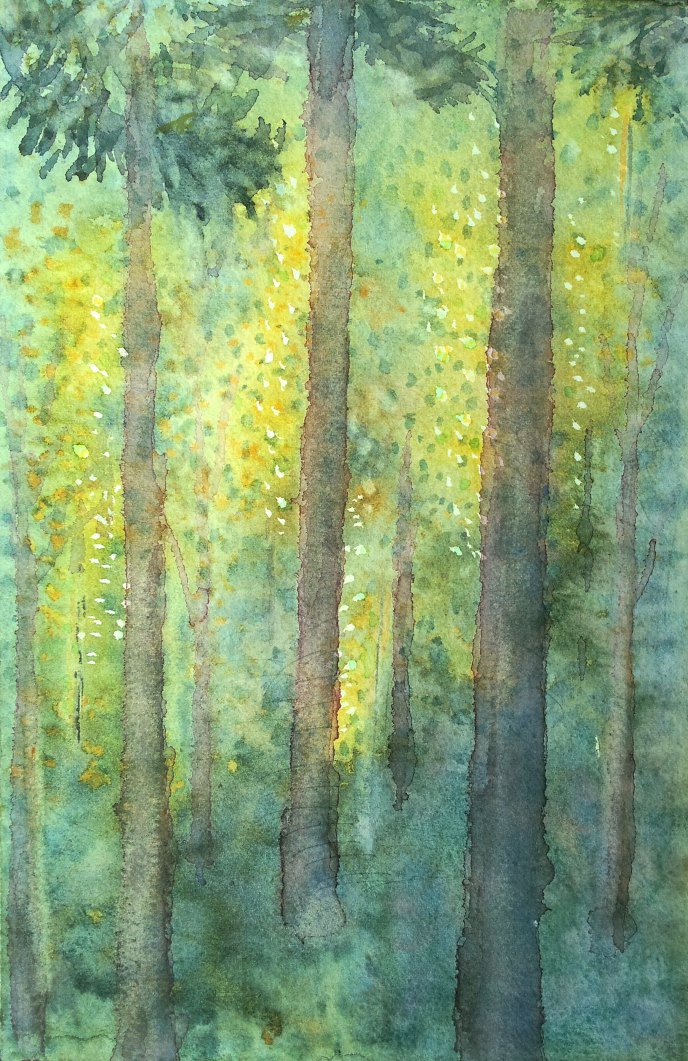 Ljuset från skogen
